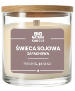 Przechwytywanie.PNG
