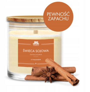 Przechwytywanie.PNG