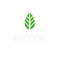 moya_matcha